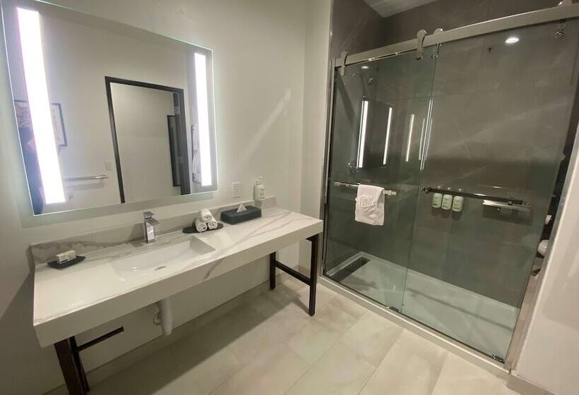 בית מלון כפרי La Quinta Inn & Suites By Wyndham Galt Lodi North