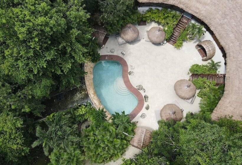 Отель Oom Bubble Boutique Riviera Cancun Adults Only