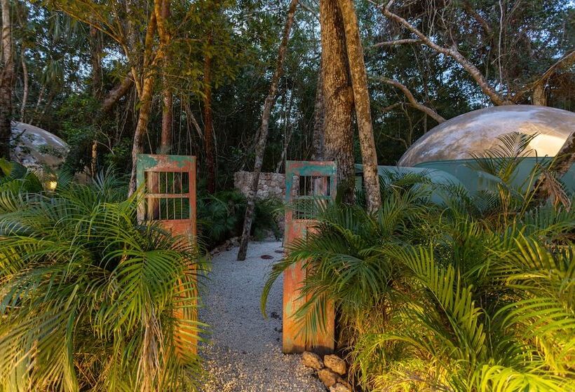 Отель Oom Bubble Boutique Riviera Cancun Adults Only