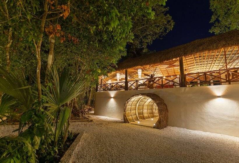 Отель Oom Bubble Boutique Riviera Cancun Adults Only