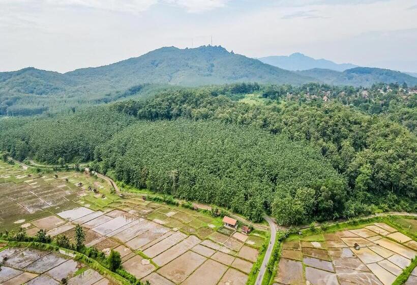 Отель Oyo Homes 91114 Desa Wisata Bangunharja