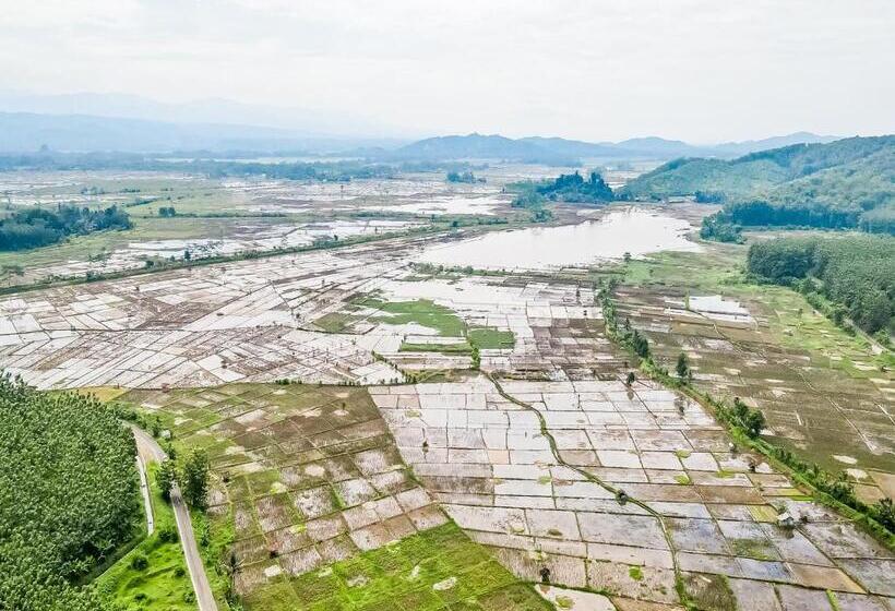 Отель Oyo Homes 91114 Desa Wisata Bangunharja