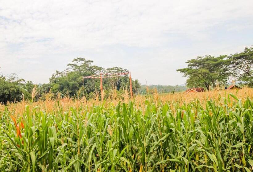 Отель Oyo Homes 91114 Desa Wisata Bangunharja