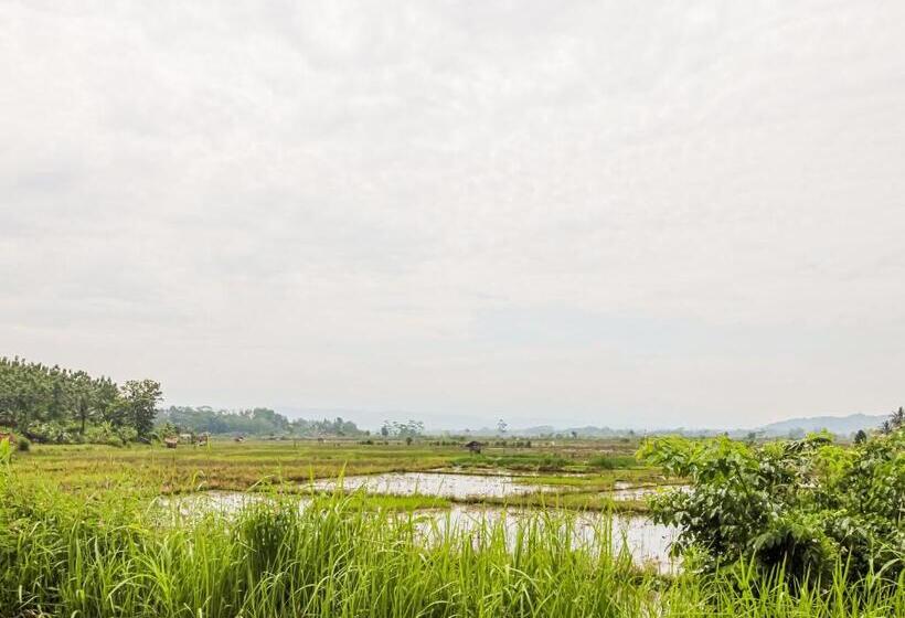 Отель Oyo Homes 91114 Desa Wisata Bangunharja