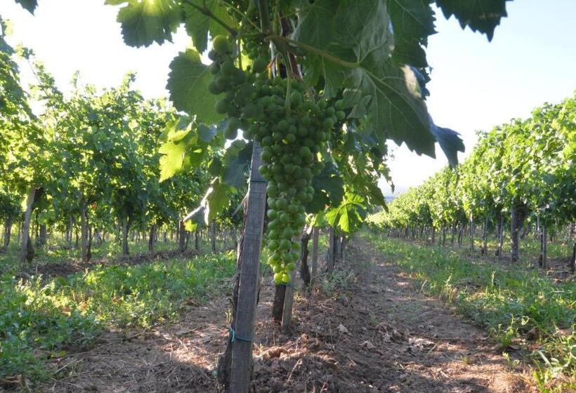 هتل Villa Luxury Rooms   Wine Resort