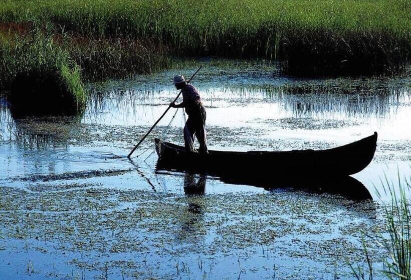 膳宿费 Havana Resort