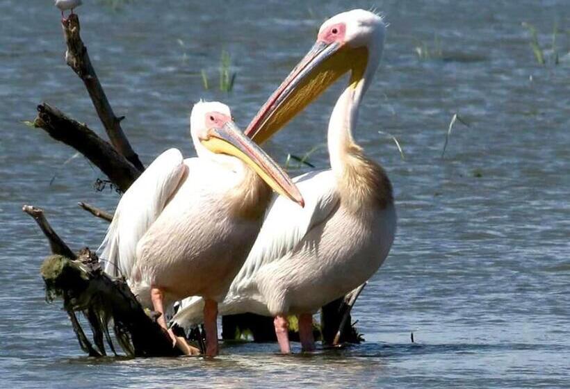 膳宿费 Havana Resort