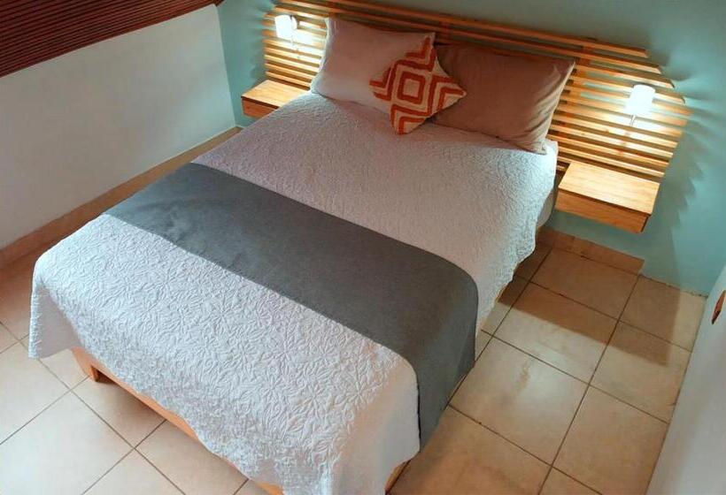 Trebol Amarillo Bed & Breakfast