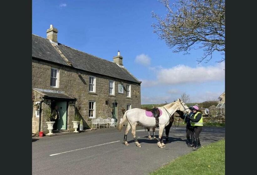 فندق صغير Bird In Bush Elsdon