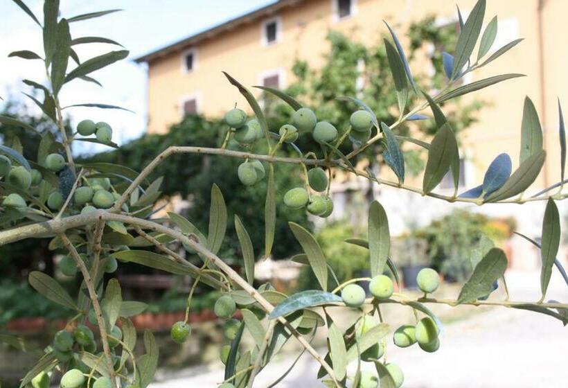 B&b Al Frantoio