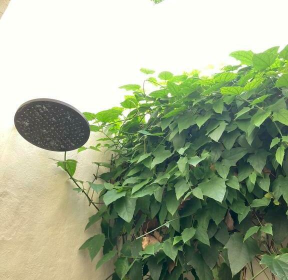 تختخواب و صبحانه Casa De Amigos Hotel Boutique