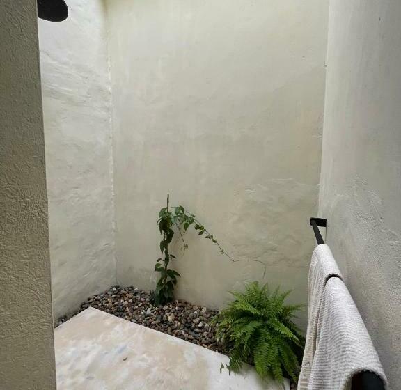 Bed and Breakfast Casa De Amigos Hotel Boutique