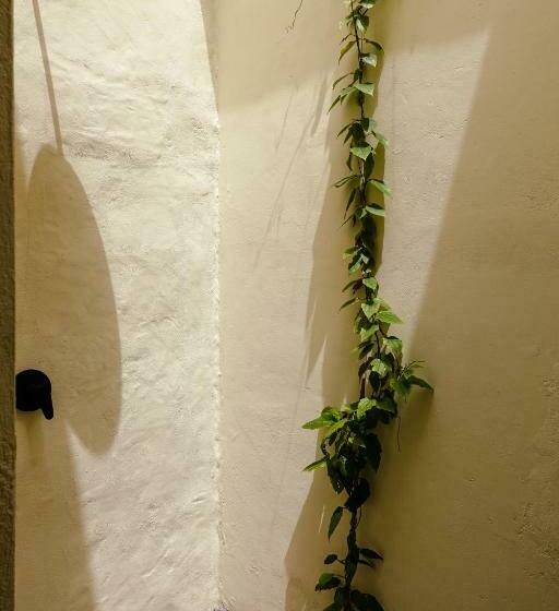 تختخواب و صبحانه Casa De Amigos Hotel Boutique