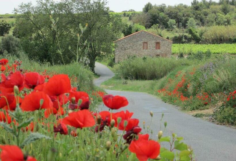 Bed and Breakfast Chambre D Hôtes Maison Splendide