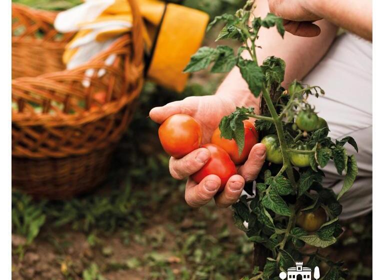 בית מלון כפרי Agriturismo Aia Antica