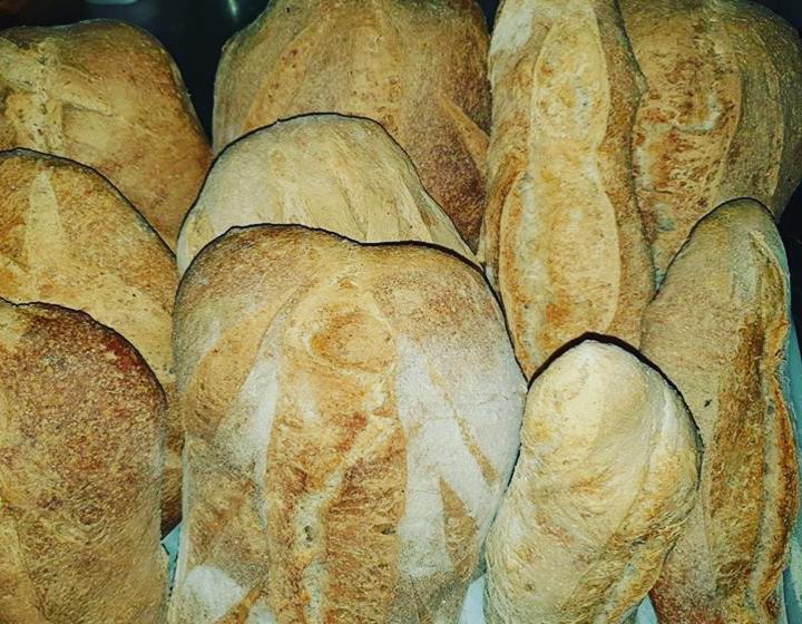 בית מלון כפרי Agriturismo Aia Antica