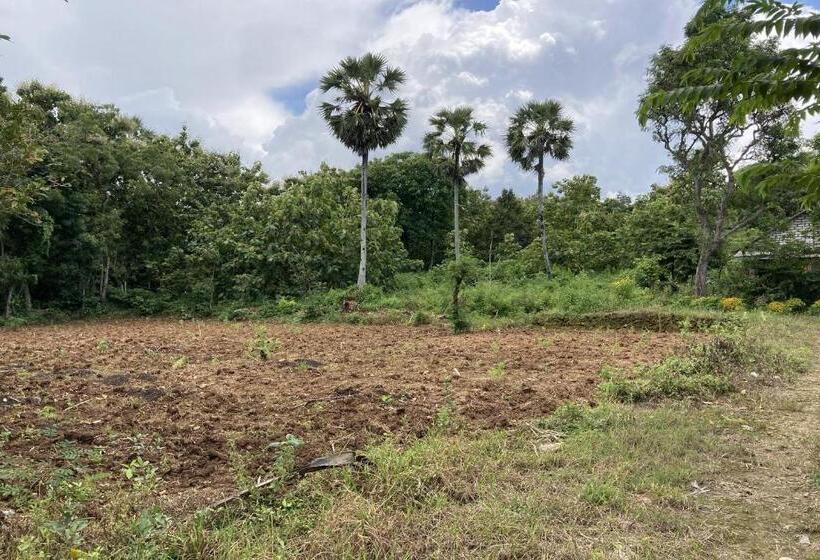 בית מלון כפרי Oyo Homes 91136 Desa Wisata Dalegan