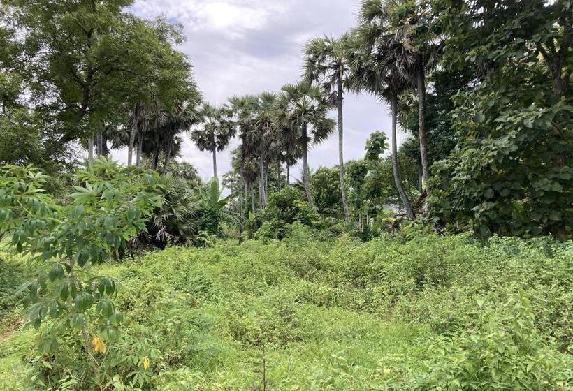 בית מלון כפרי Oyo Homes 91136 Desa Wisata Dalegan