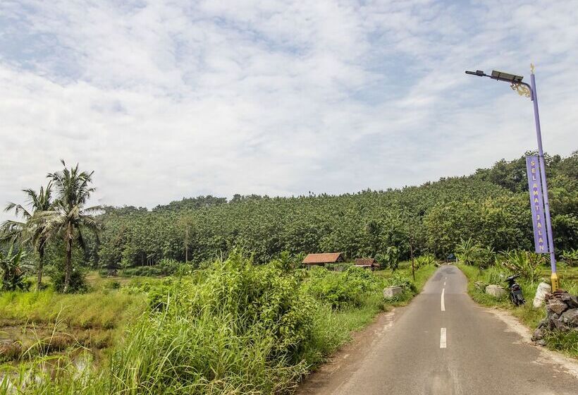 ホテル Oyo Homes 91155 Desa Wisata Selamanik Ciamis