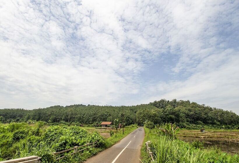 ホテル Oyo Homes 91155 Desa Wisata Selamanik Ciamis