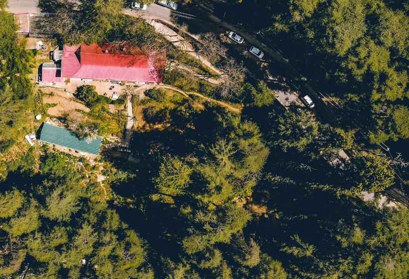 ホテル Seclude Shimla, Taraview