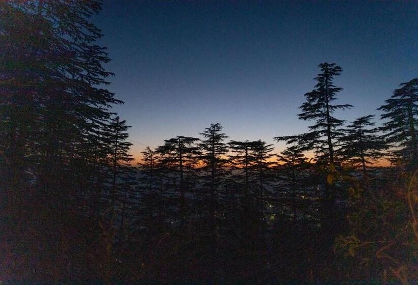 ホテル Seclude Shimla, Taraview