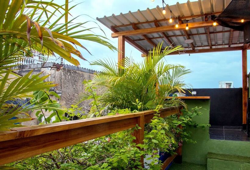 ペンション Hostal Seven Nights Cartagena