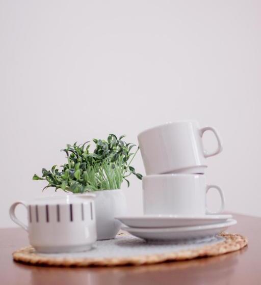 Mediterráneo Hotel Y Spa