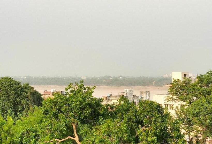 فندق Purple Lotus