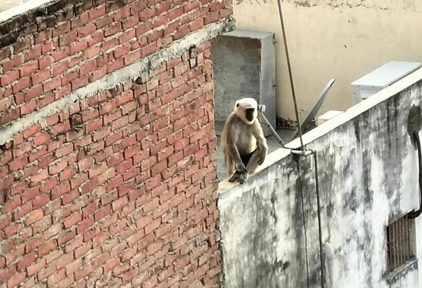 فندق Purple Lotus