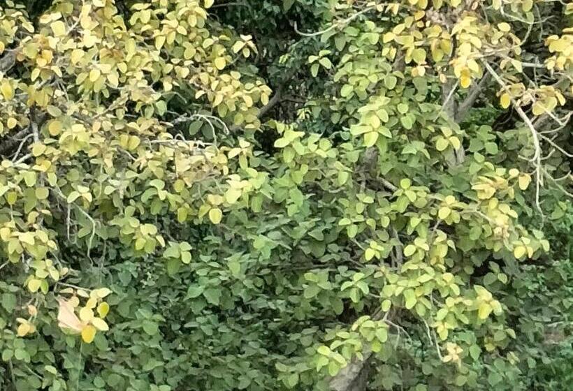 فندق Purple Lotus