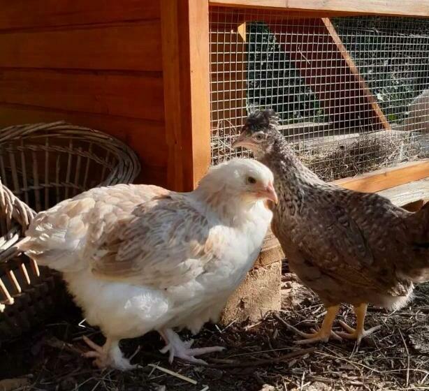 Пансион Mas Notre Dame, Jardin Petit Paradis, Literie Haut De Gamme