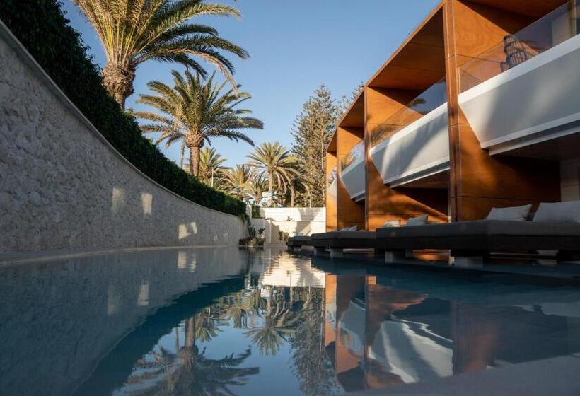 Tensuites - Adults Only