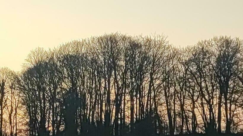 צימר Le Prieuré De L Oiselière