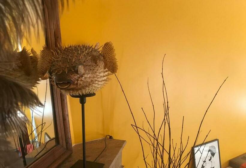 Bed and Breakfast Maison Mercredi