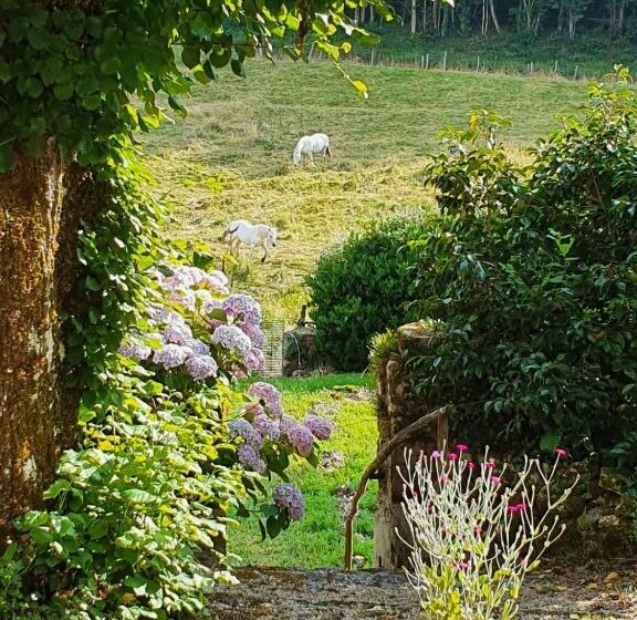 Bed and Breakfast Maison Mercredi