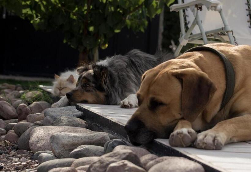 住宿加早餐 Refugio Padma