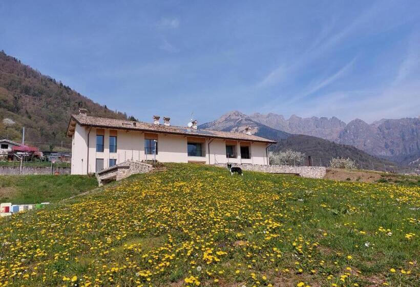 Отель La Casa Di Maia Alloggio Agrituristico