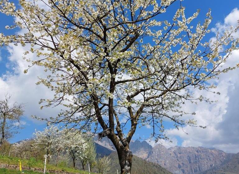 Отель La Casa Di Maia Alloggio Agrituristico