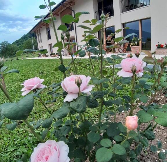 Отель La Casa Di Maia Alloggio Agrituristico