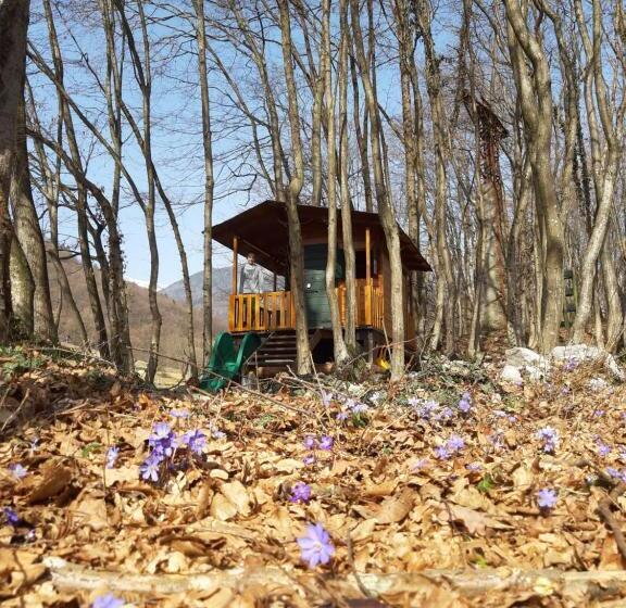 Отель La Casa Di Maia Alloggio Agrituristico