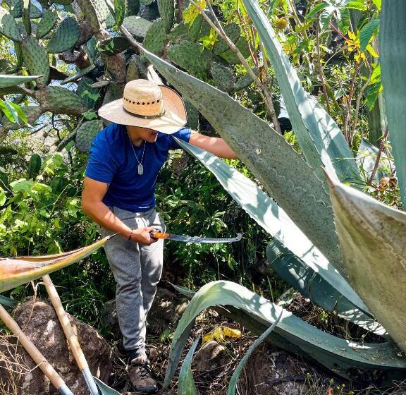 酒店 Lavanda Aldea Holística