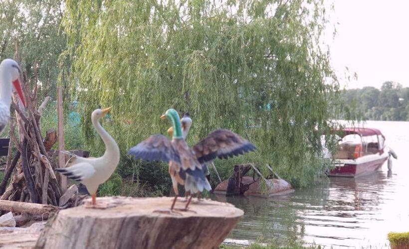 酒店 Restaurant Plutitor Delta Ways