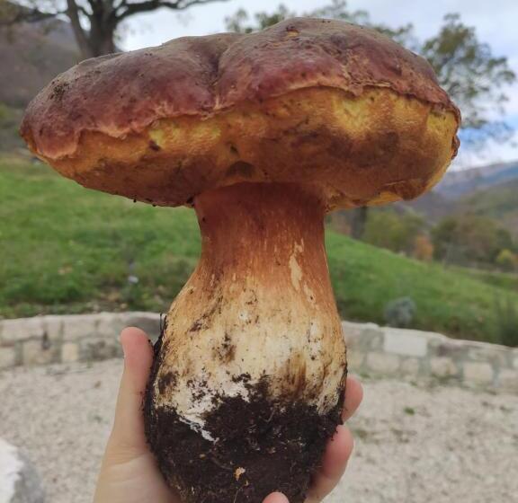 بنسيون Affittacamere Arco Antico