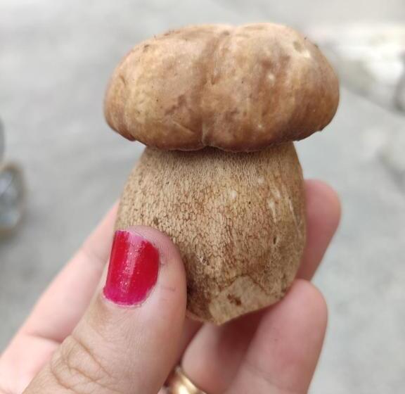 بنسيون Affittacamere Arco Antico