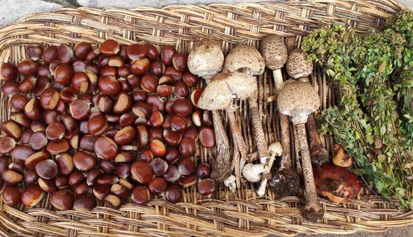 بنسيون Affittacamere Arco Antico