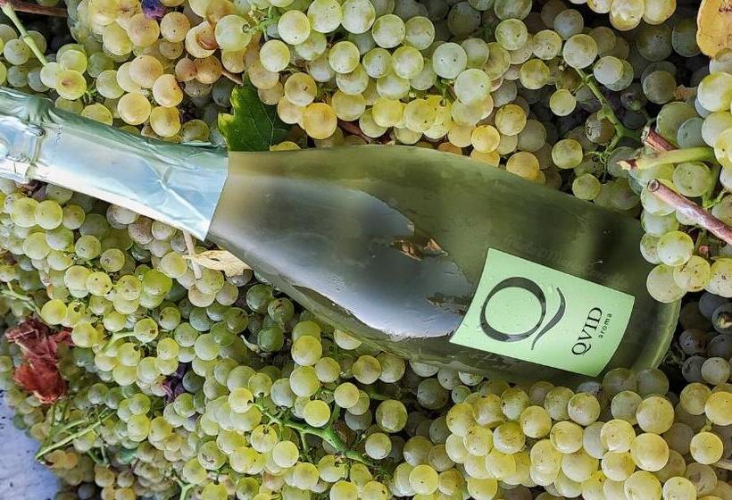 بنسيون Affittacamere Arco Antico