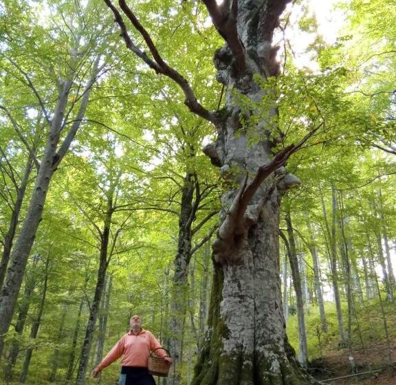 بنسيون Affittacamere Arco Antico