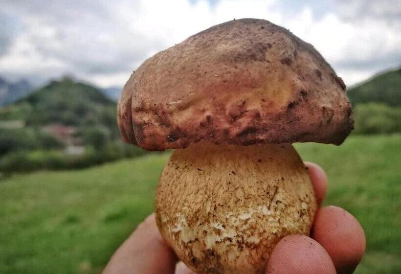 بنسيون Affittacamere Arco Antico