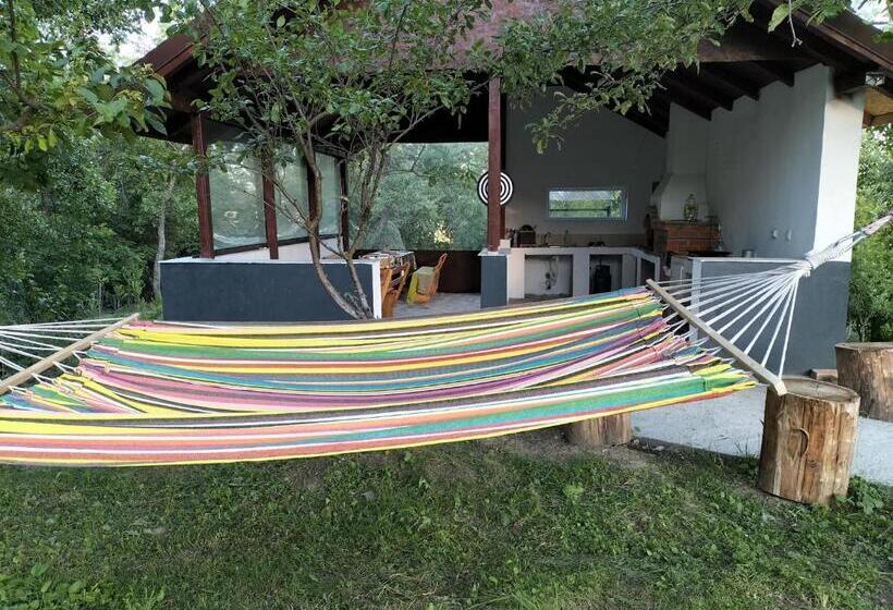 Пансион Conacul Doamnei Nucșoara